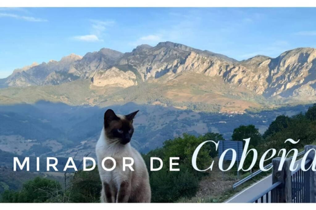 El Mirador De Cobena Ii. Aires De Liebana En Picos Apartment Luaran gambar